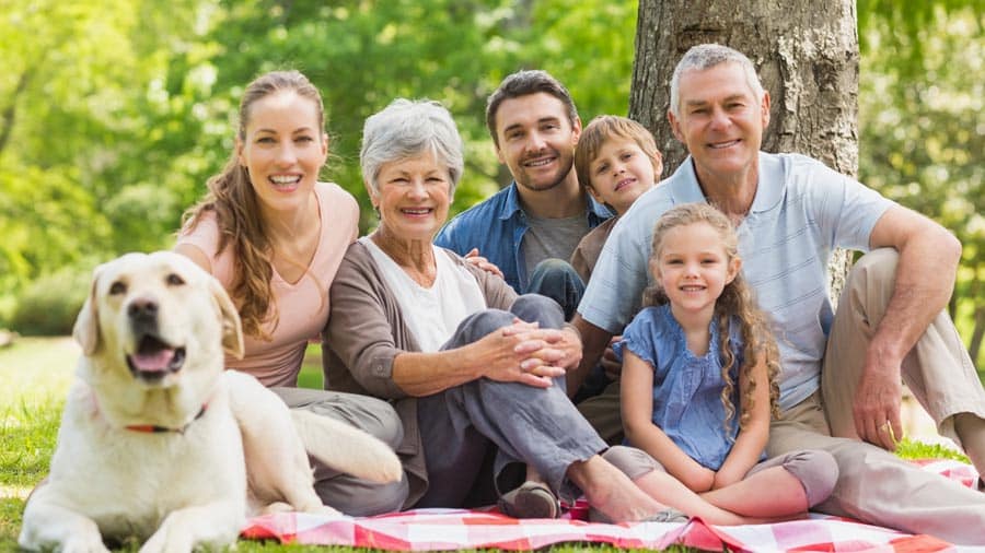 Dentist South Bend IN Services